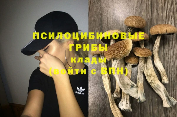 метадон Козельск