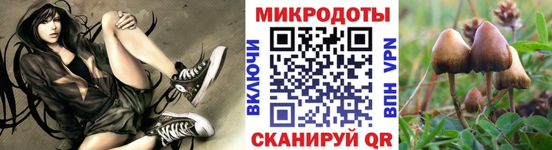 Галлюциногенные грибы ЛСД  Купить закладки  Богданович 