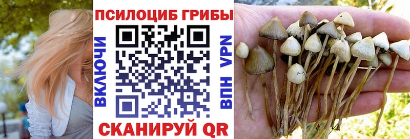 Псилоцибиновые грибы мухоморы Богданович